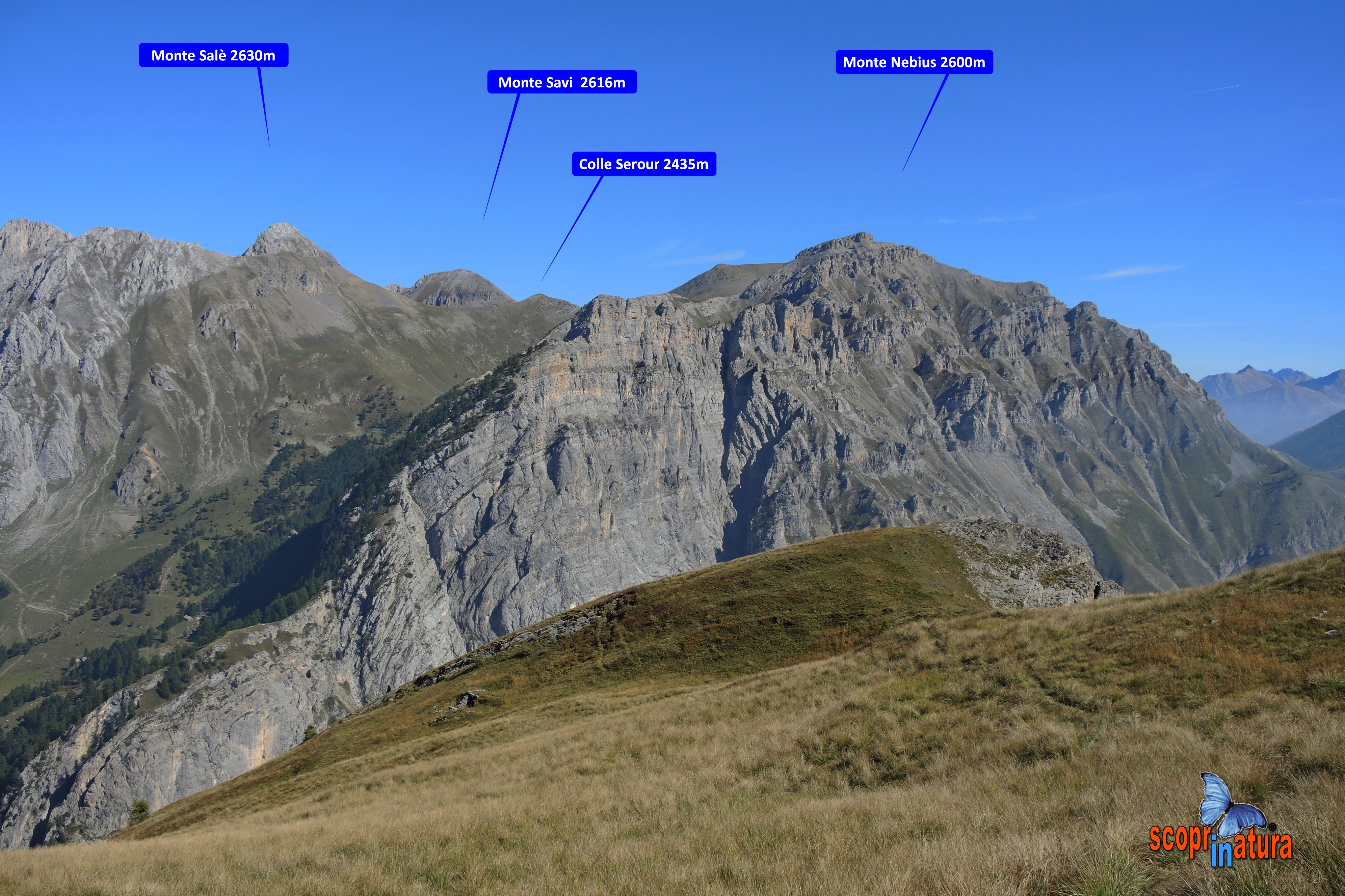 panoramica  verso il Monte Salè  2630m  Monte Savi 2616m  Colle Serour 2435m e  Monte Nebius 2600m