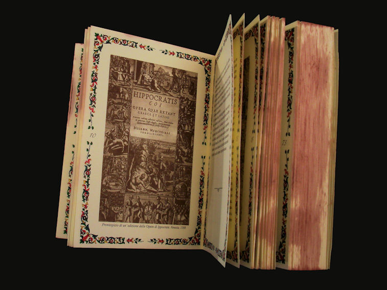 All’interno del libro sulle erbe si nota una tavola relativa a Hippocratis Coi