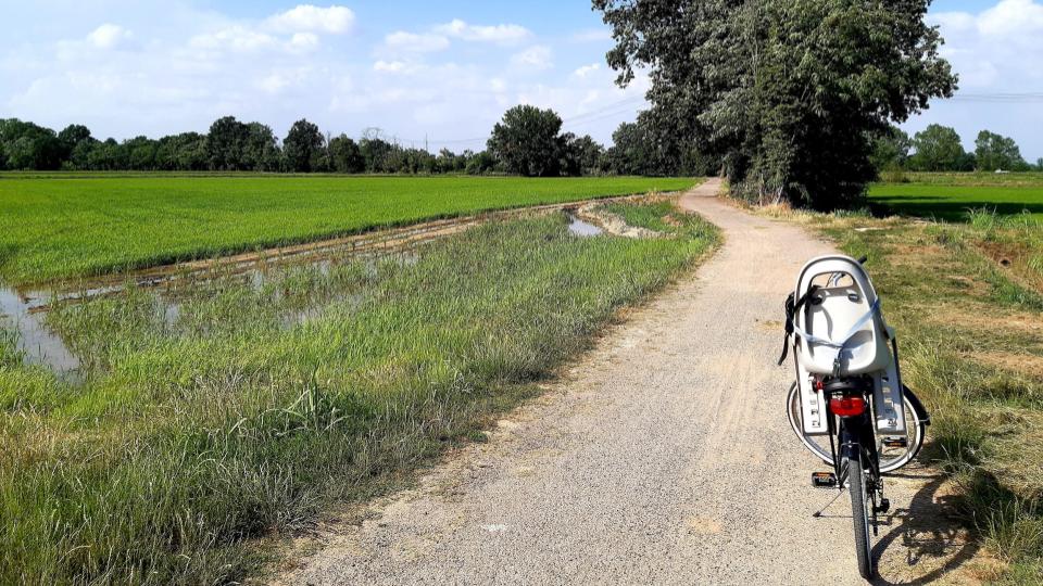 in-bici-lungo-facili-strade-di-campagna-nel-parco-agricolo-sud-milanojpg