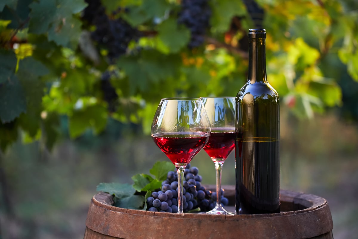 Differenze tra vino biologico e vino naturale