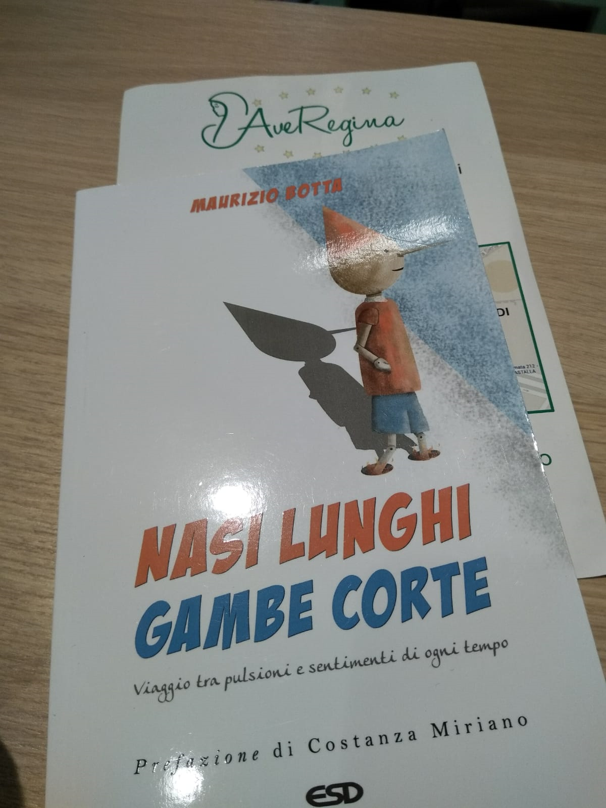 NASI LUNGHI GAMBE CORTE - P.Maurizio Botta