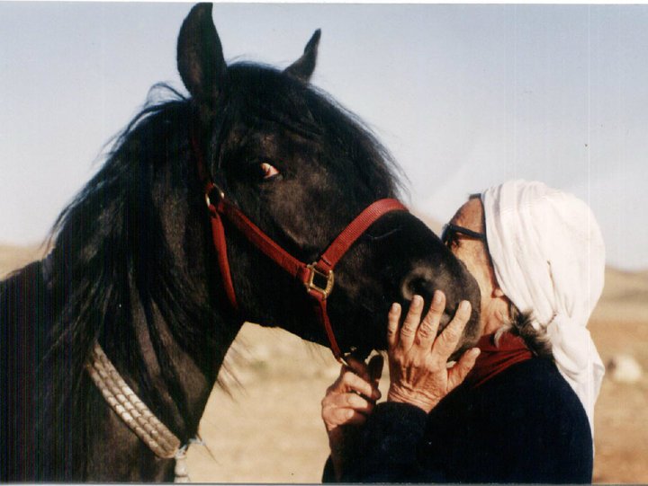 Vita e avventure di Mehri, la signora dei cavalli Asil fra i nomadi dell'Iran