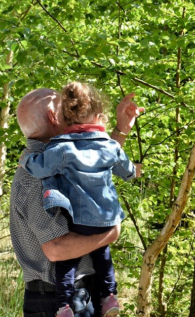 Morte nonni: risarcimento danni ai nipoti