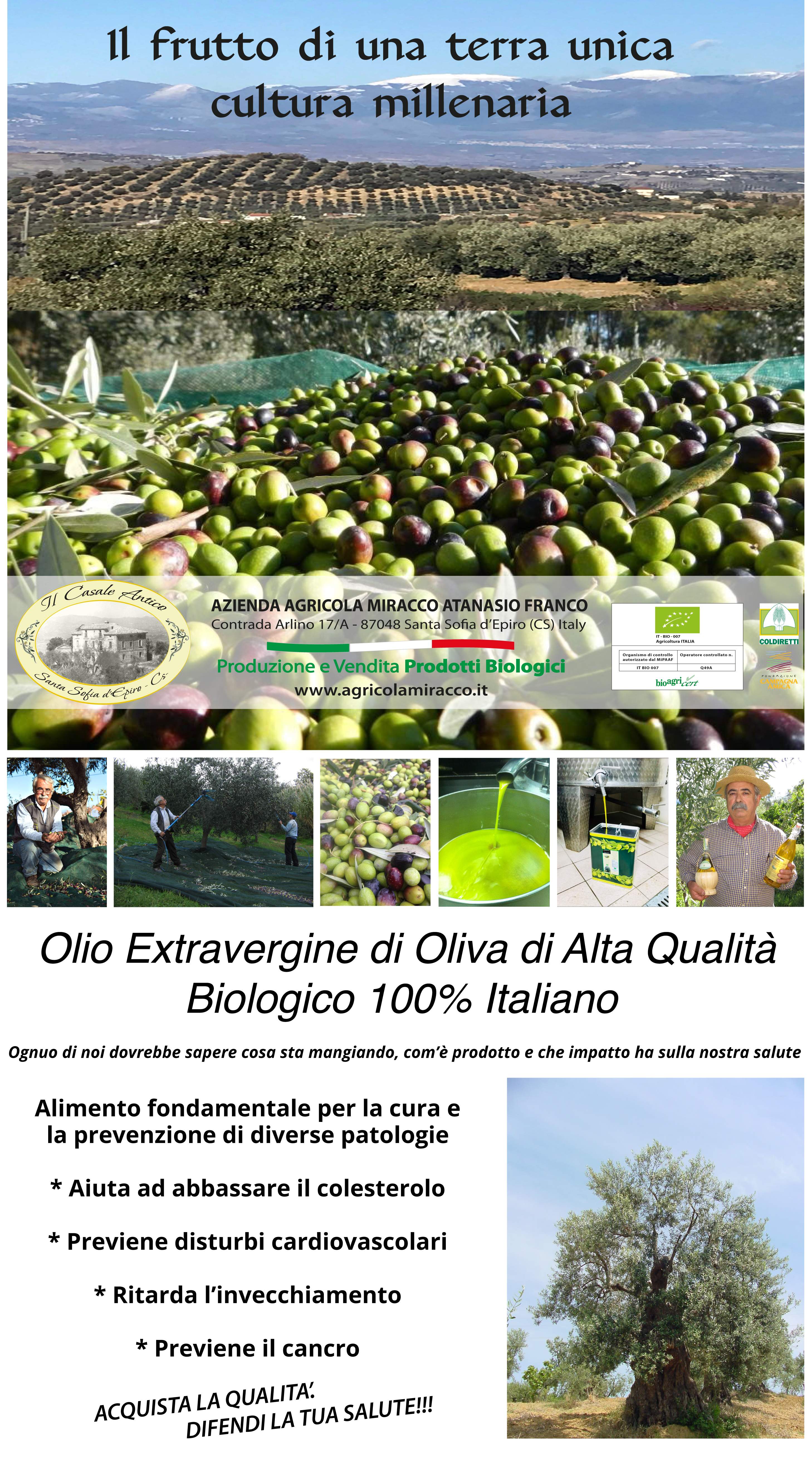 Olio Extravergine di Oliva Biologico 100% Italiano 1 Latta da 5 Lt