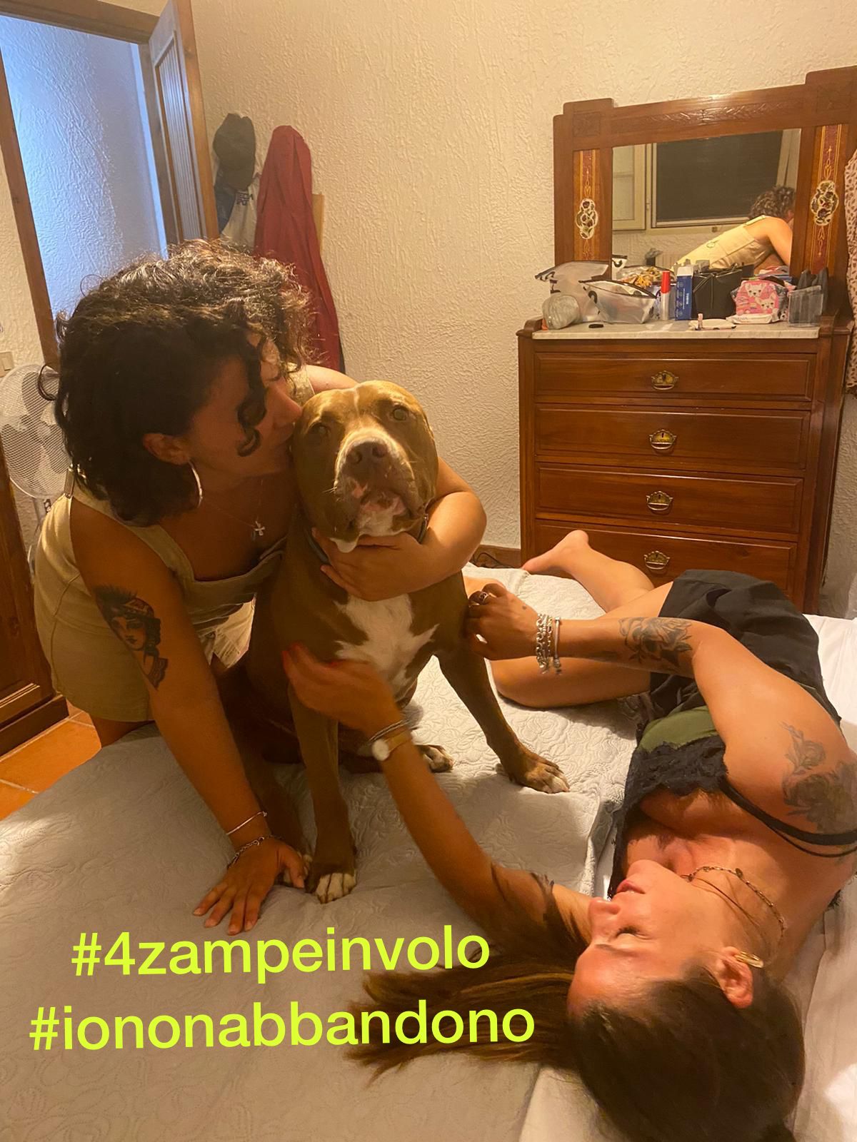 4 Zampe in Volo - No all'Abbandono