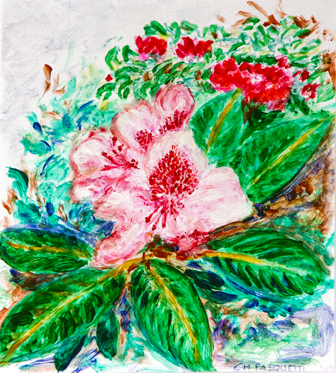 fiore rosa Giulia Maria Pasquetti