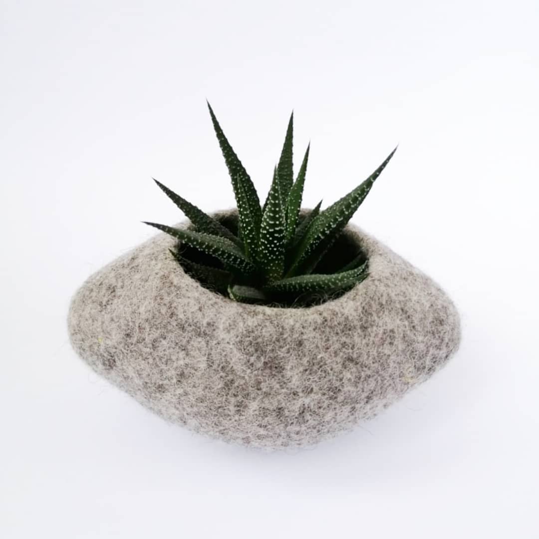 Vaso in lana grigio naturale - Vaso ecologico per succulente