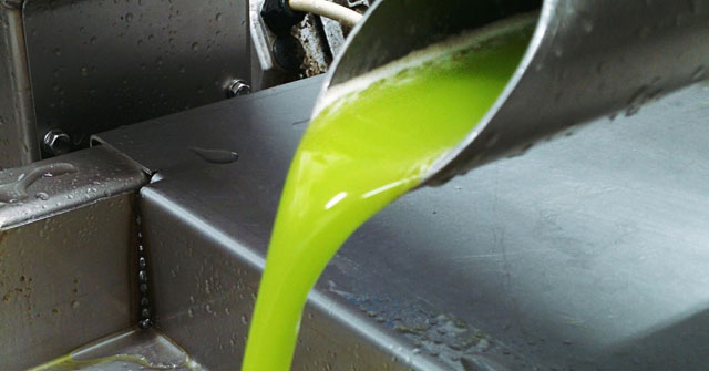 Olio di oliva biologico tanica da 5 litri