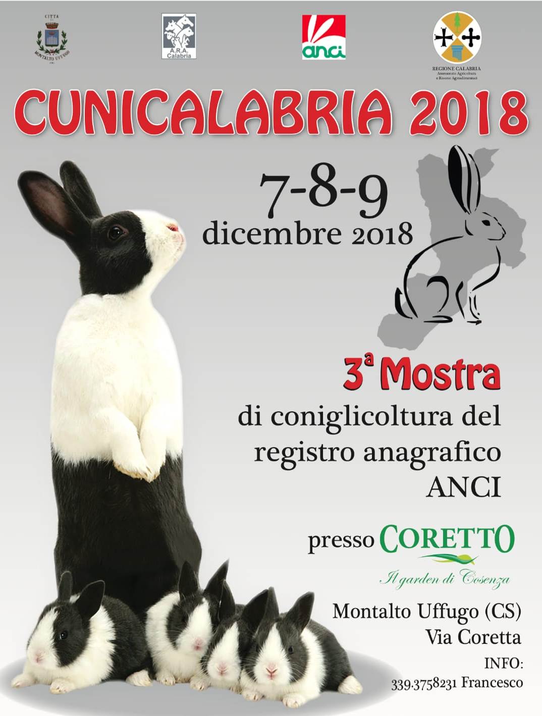 A MONTALTO UFFUGO SI RINNOVA L’EVENTO INTERREGIONALE DI CUNICALABRIA 2018 Tre giorni di appuntamenti aperti al pubblico con l’esposizione di oltre 500 conigli delle più belle razze certificate