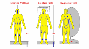 ELF (chiamato anche Extremely Low Frequency)