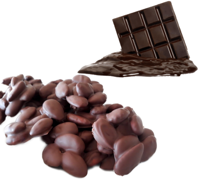 Rif_639 Madorla Pralinata ricoperta di Cioccolato fondente gr 100