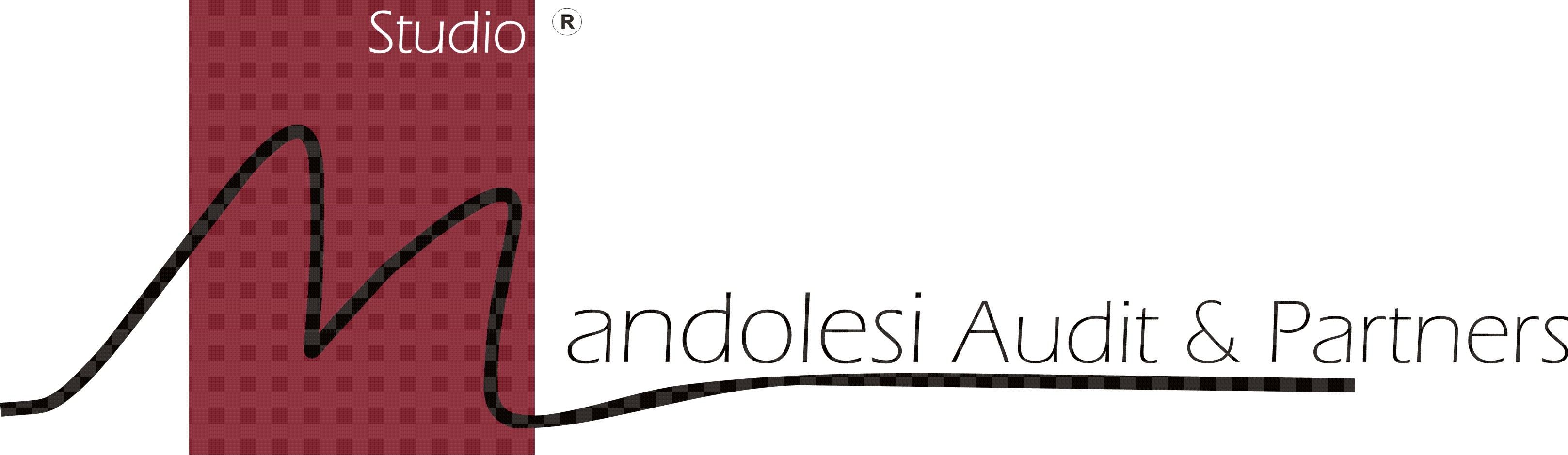 Mandolesi Auditing & Partners