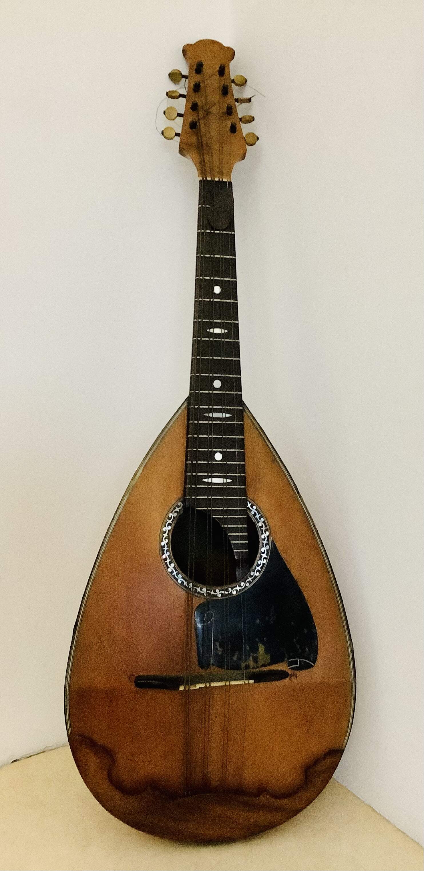 rita saglietto mandolino
