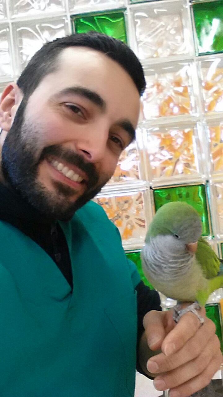Centro veterinario Larini pappagallo.jpeg