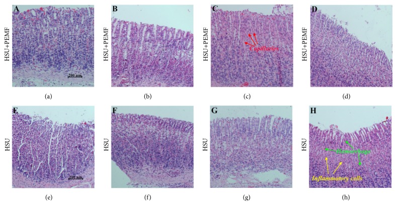 BMRI2019-6354054003jpg