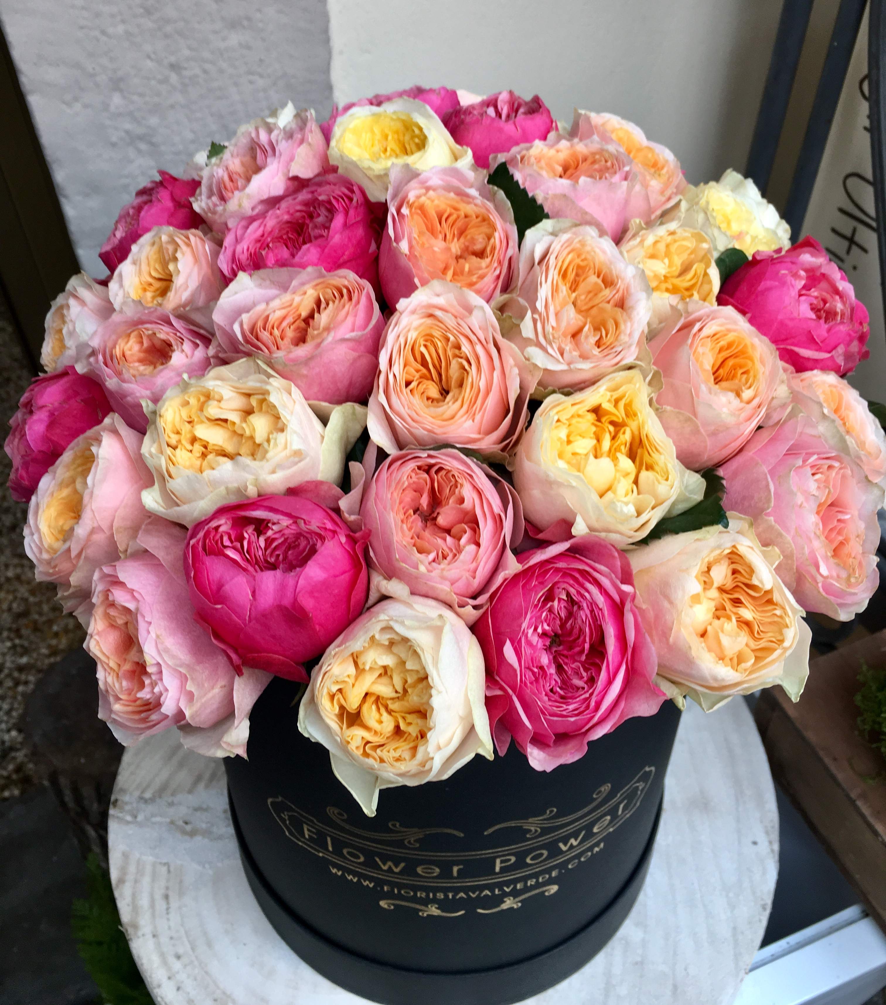 FLOWERBOX WITH ENGLISH ROSES