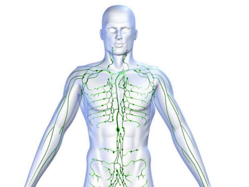 L'influenza della terapia del campo elettromagnetico pulsato sul flusso linfatico