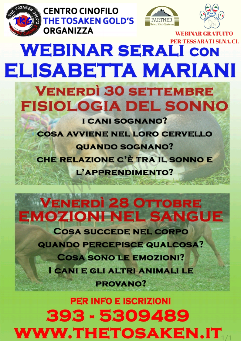 Webinar Serali con Elisabetta Mariani