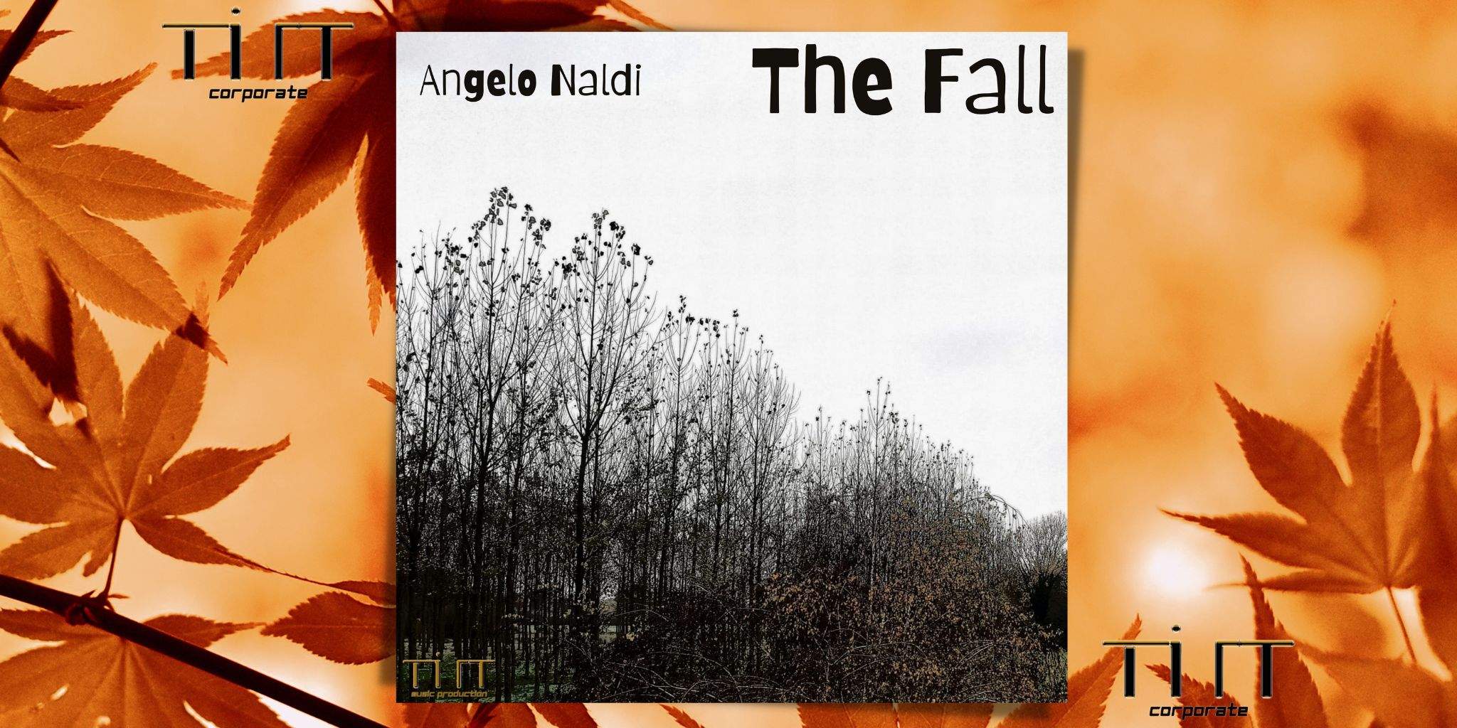 THE FALL è il nuovo brano di Angelo Naldi!