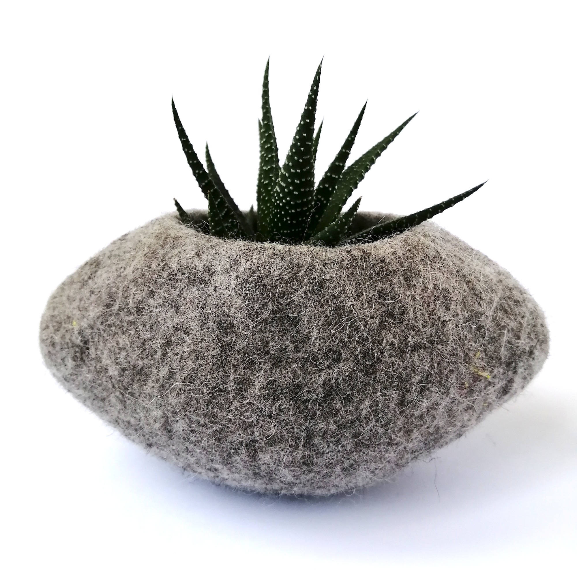 Vaso in lana grigio naturale - Vaso ecologico per succulente