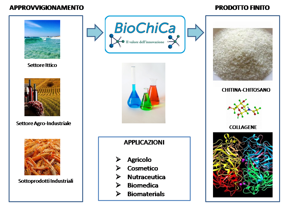 Bio Based Products