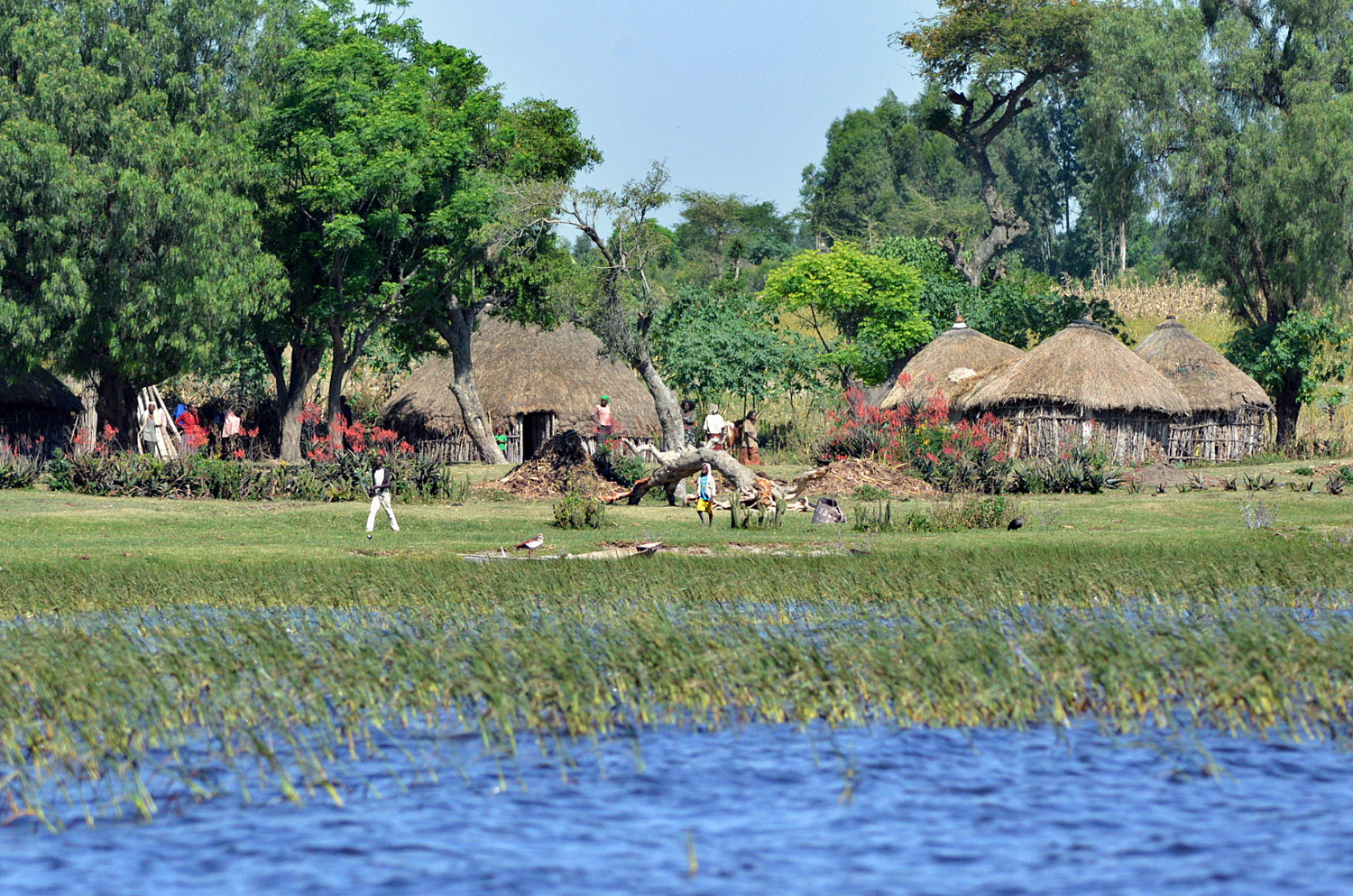 hamlet of Sidama fishers, lago Tana, lake Tana