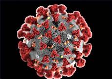 Live, infectious coronavirus droplets isolated in the air: evidence in a new study