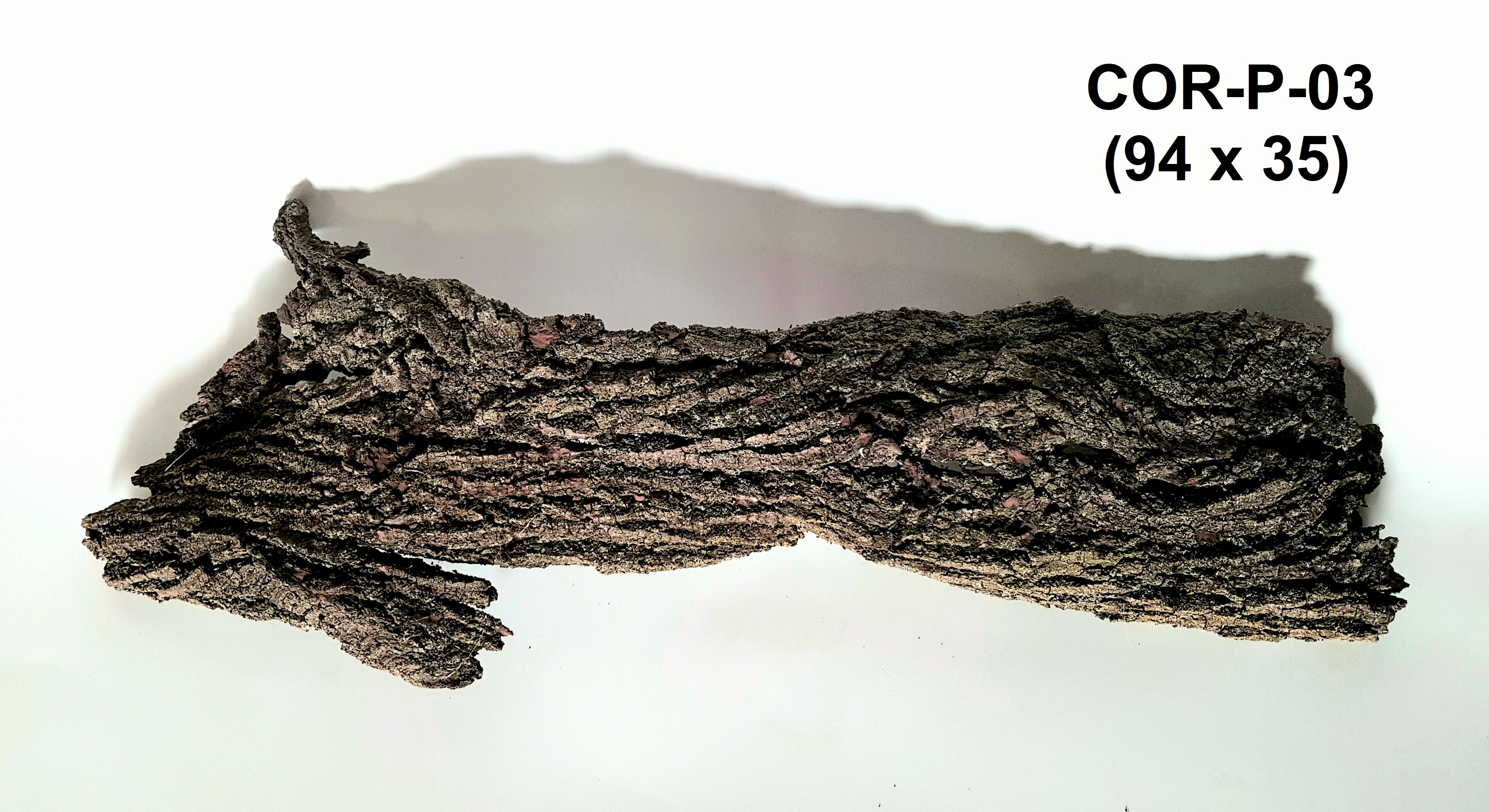 Corteccia pezzo singolo (COR-P-03)