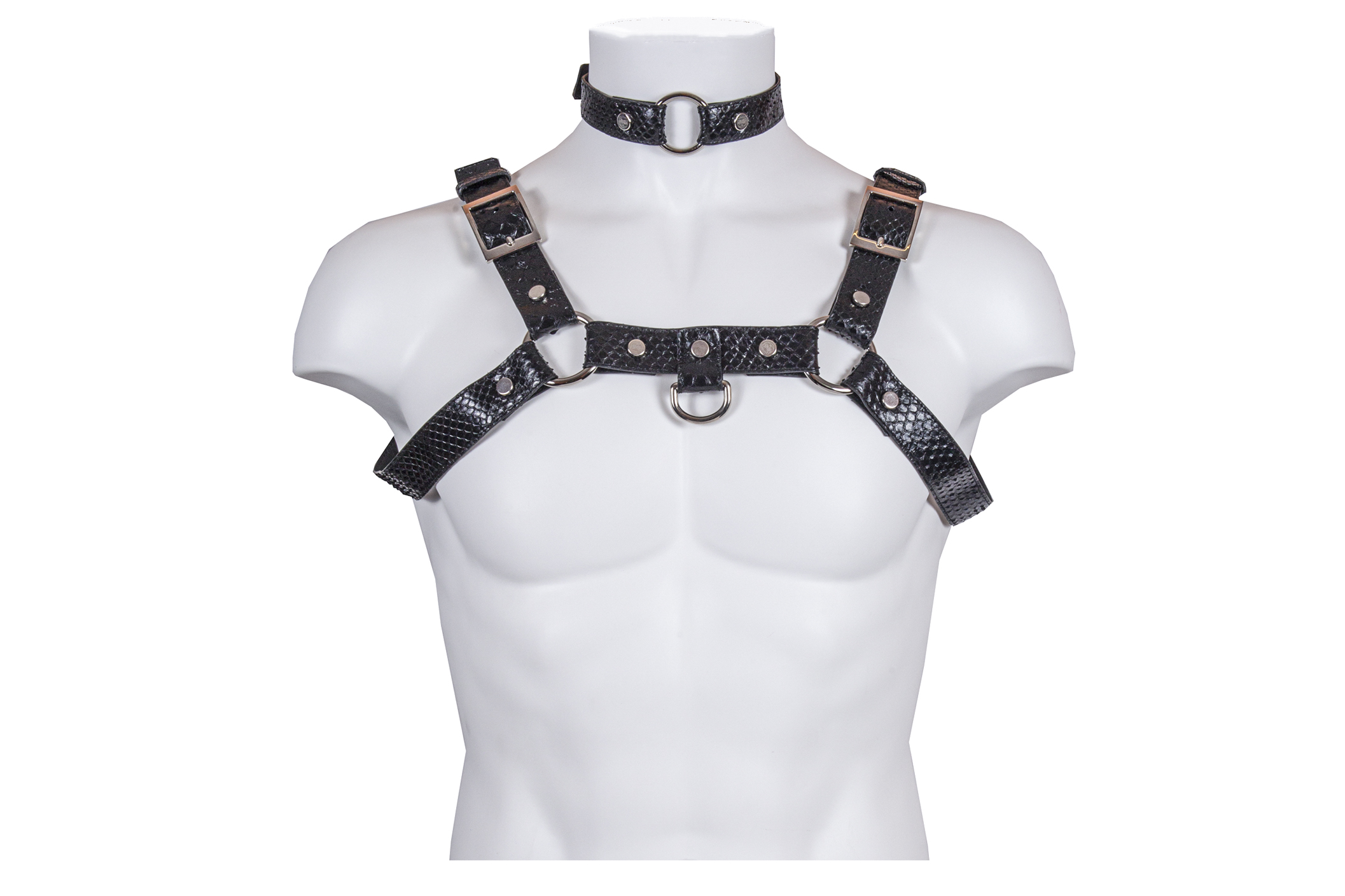 Harness Bust in Real Python Col. Nero