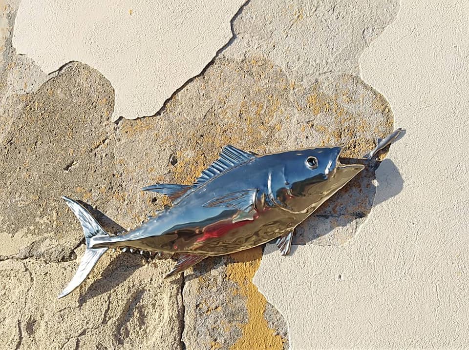 TONNO ROSSO - con acciughe ( inox - lucido - 90 cm, Spessore: 8/10) BLUEFIN TUNA and anchovies