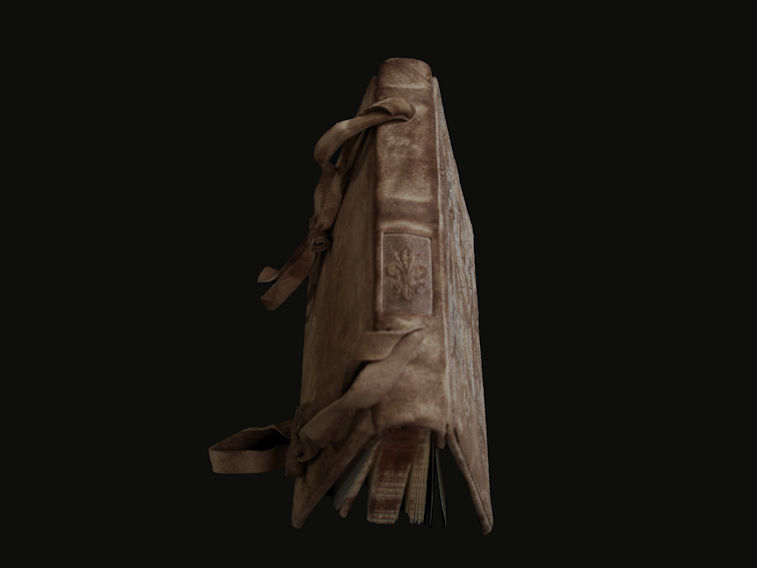 Costola del quaderno in pelle con bassorilievo di piccolo giglio