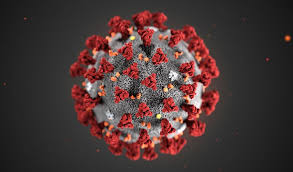 Il Corona Virus (Covid-19)