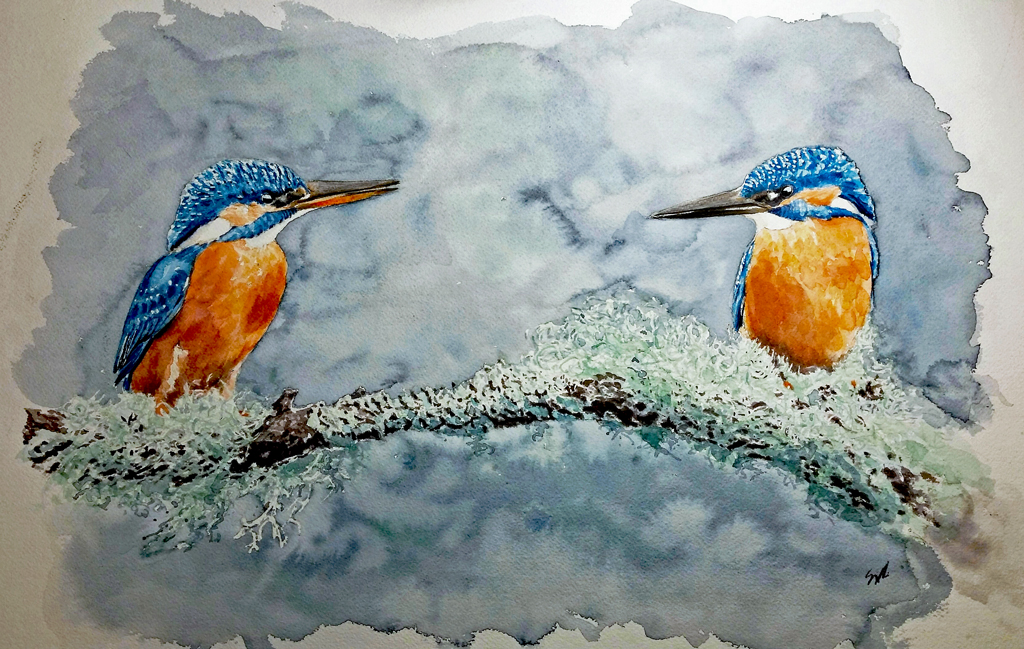 waterpiant of a couple of kingfisher