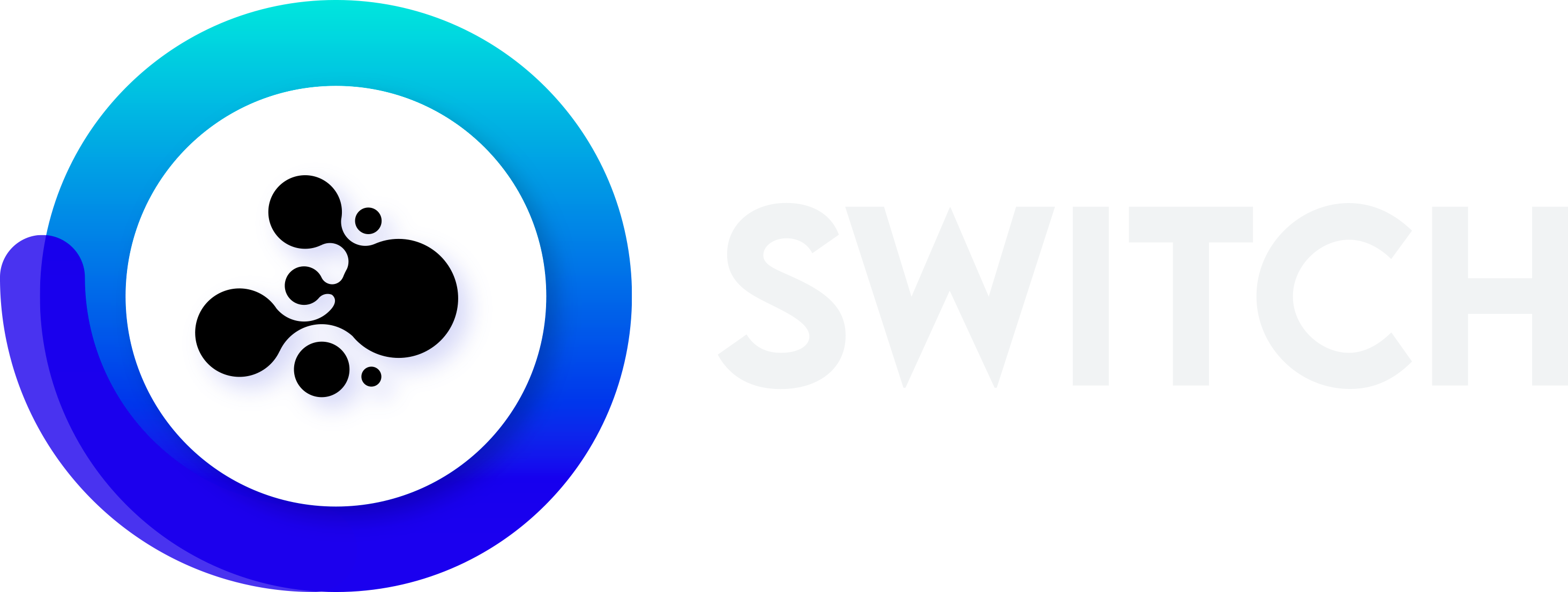 Switch Web Services Module