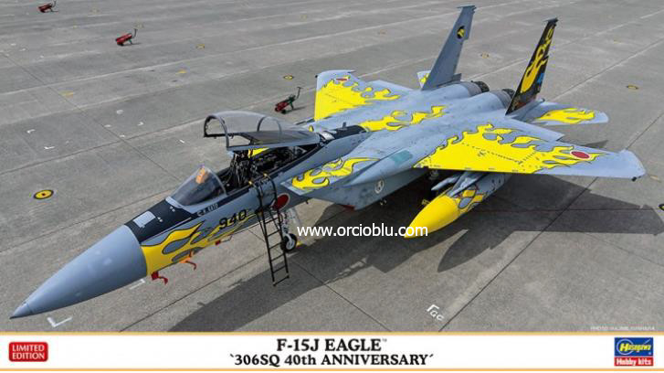 F15-J 306 Sq Anniversary