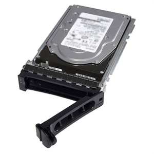 HD 3,5 DELL 8TB NEARLINE SAS 7.2RPM 512E 12GBPS 3,5 HOT PLUG