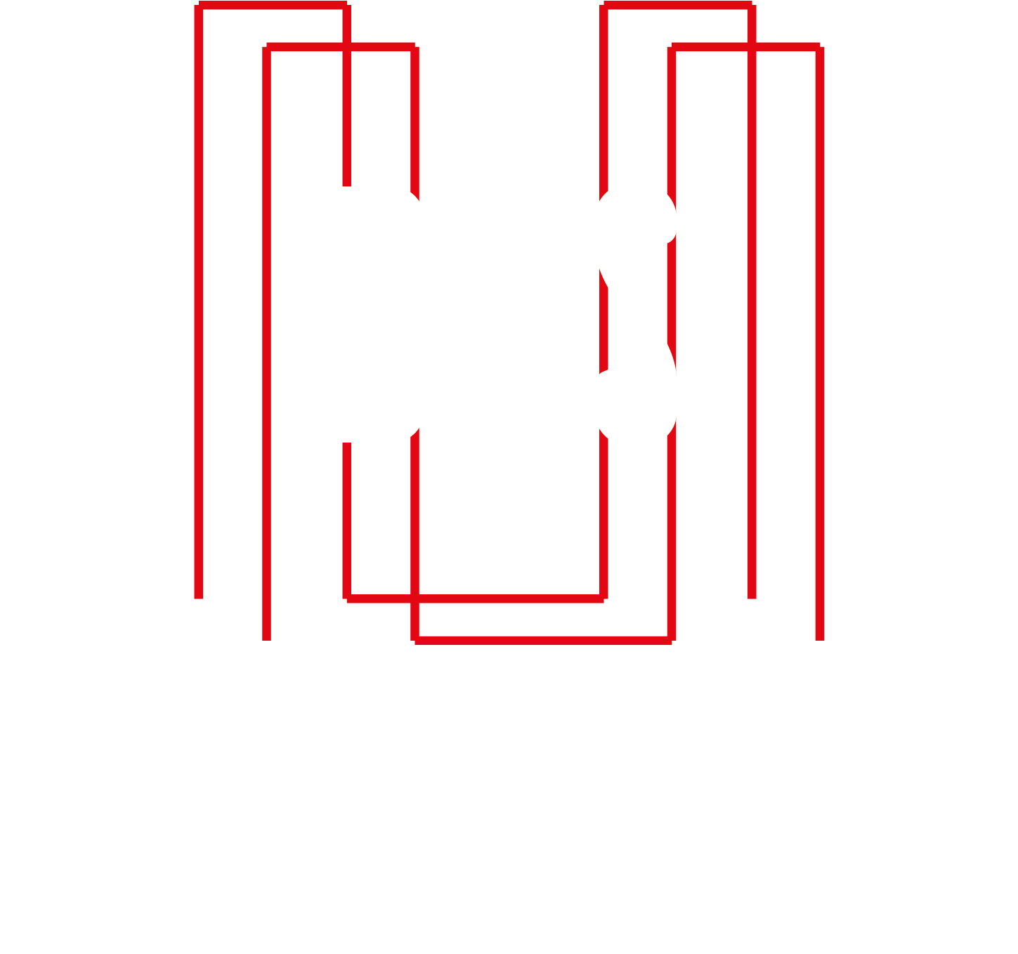 DS MEDICAL SRLS