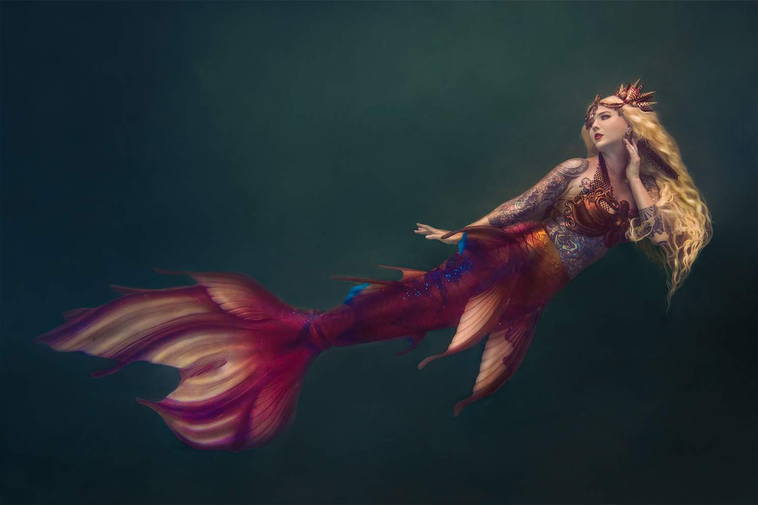 underwater photographer florida