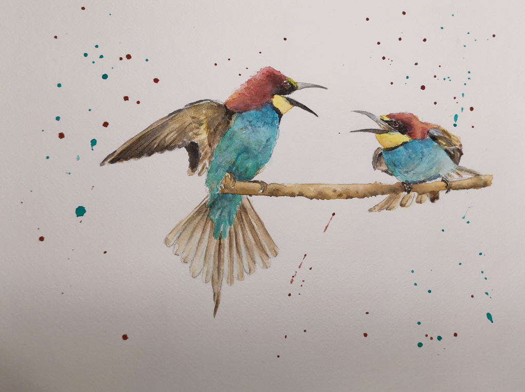 waterpaint of bee-eaters on a tree branch