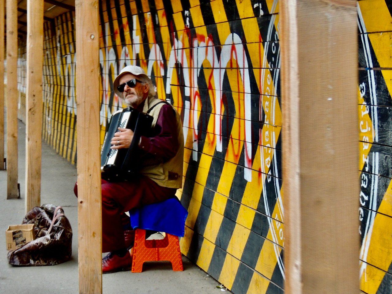 Musicista, musicista di strada, armonica, giallo, Tbilisi, Georgia