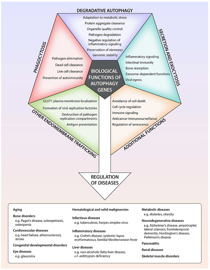 nihms-1517910-f0003jpg