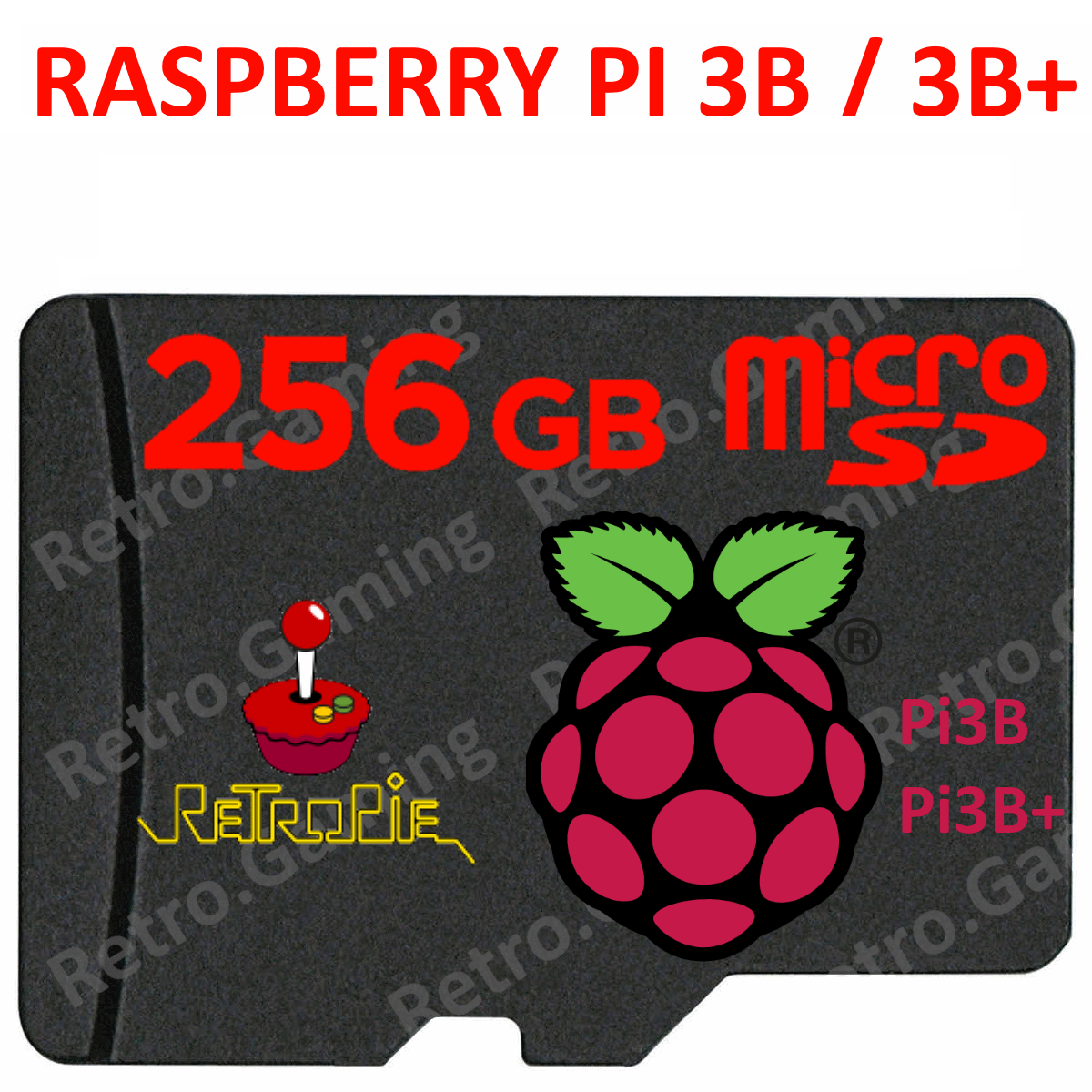 micro SD 256GB per Raspberry pi 3B/3B+/3A+ [Retropie] + Manuale PDF