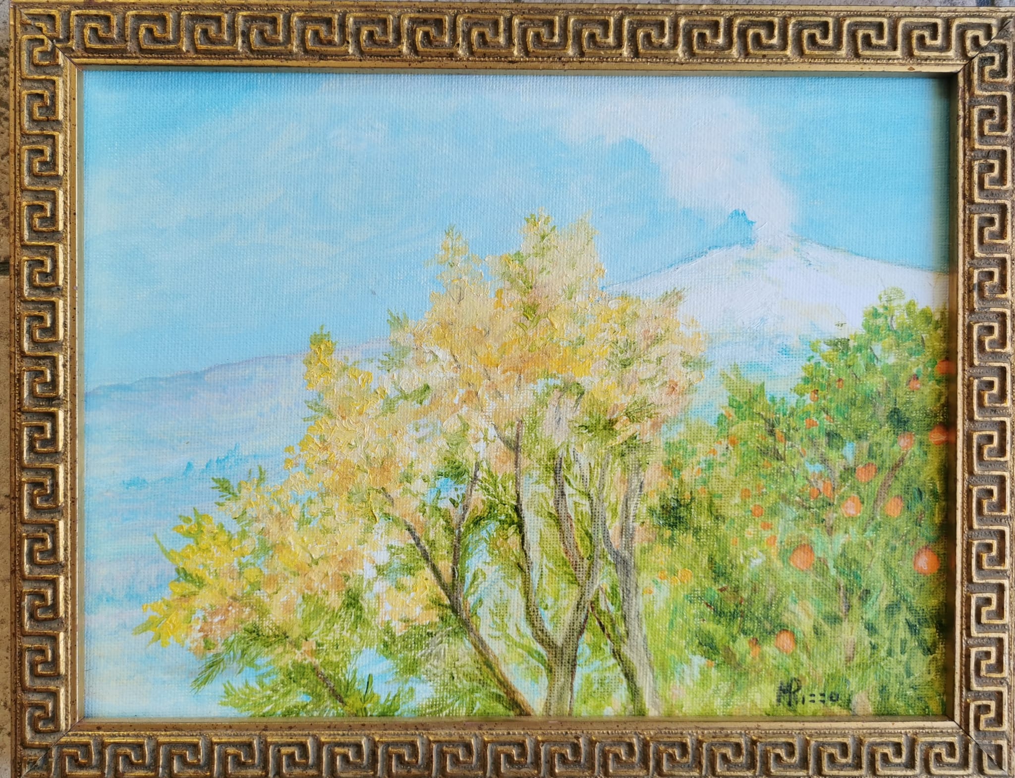 Etna con albero di mimosa