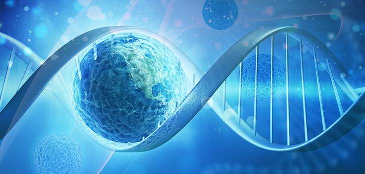 I campi elettromagnetici influiscono sulla carica della membrana cellulare