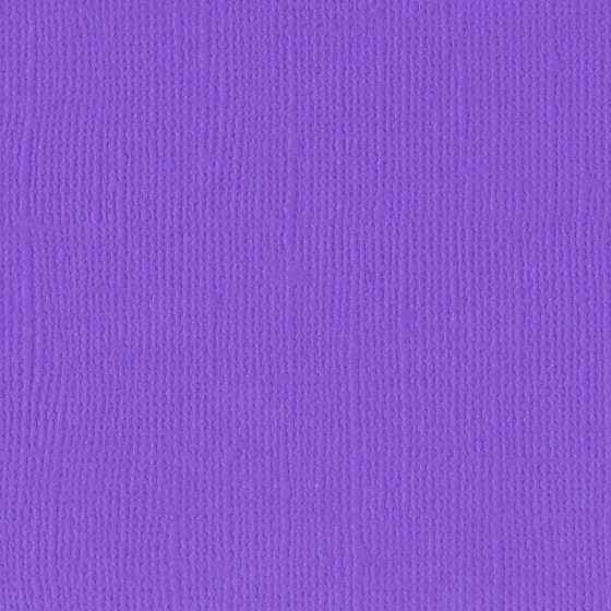 2928-041 Florence • Cardstock texture 30,5x30,5cm Violet