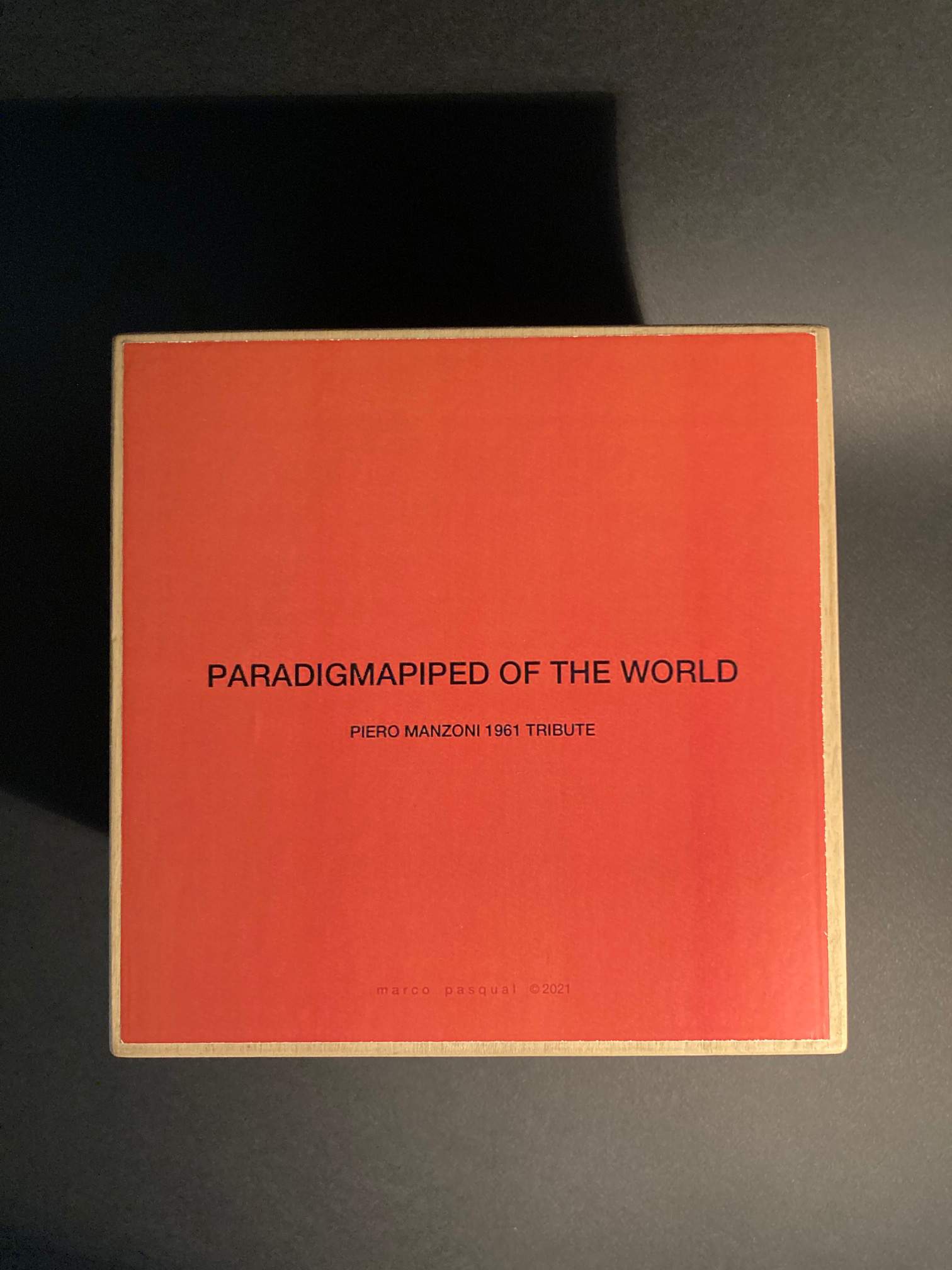 PARADIGMAPIPED OF THE WORLD