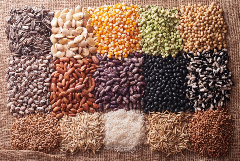 Studi sulla salute e la nutrizione relativi alla biodiversità dei cereali