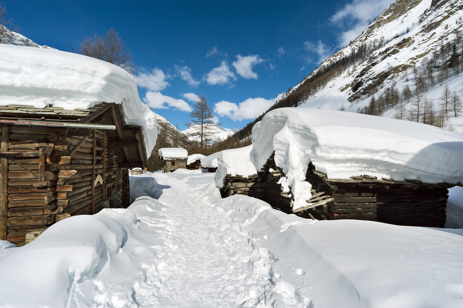 Cogne Valnontey (Ao), Aosta Valley