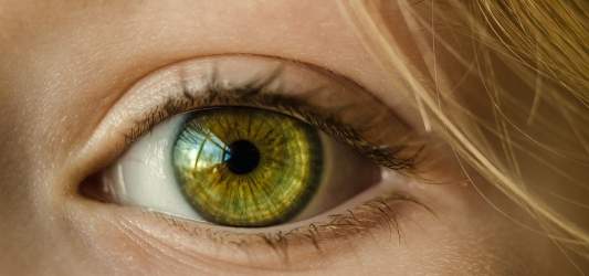 Campo elettromagnetico pulsato sull'emodinamica degli occhi con glaucoma