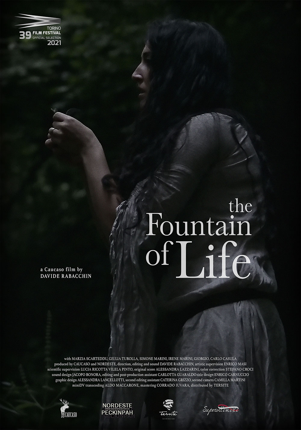 Distribuzione documentari - The Fountain of Life di Davide Rabacchin